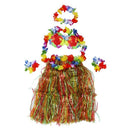 Colorful Hawaiian Tropical Theme Party Hula Luau Grass Dancer Skirt and Bra P4Y3