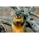 1000pcs DIY Squirrel on Branch Puzzle Educational Learning Assembling Toys A
