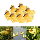 8 Pack Baby Duckings Floating Decoy Ducks Plastic Ornament Fish Pond Koi Fish