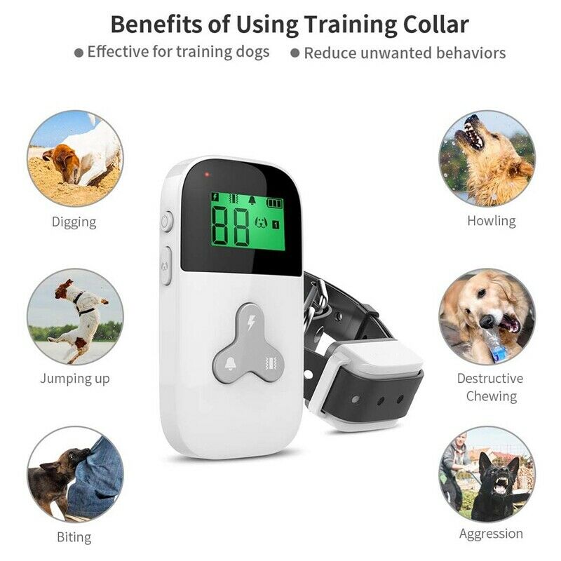 Shock Collar for Dogs Dog Training Collar with Remote Remote Control Mini D