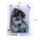 DIY Dog Diamond Painting Cross Stitch Kit Embroidery Home Decor Craft