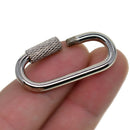 10Pcs Stainless Steel D Shape Camping Link Lock Buckle Hook Keychain, Lock