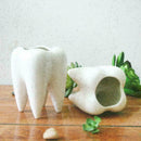 Tooth Shape White Ceramic Flower Pot Modern Design Decor Teeth Desktops Pla J7A6