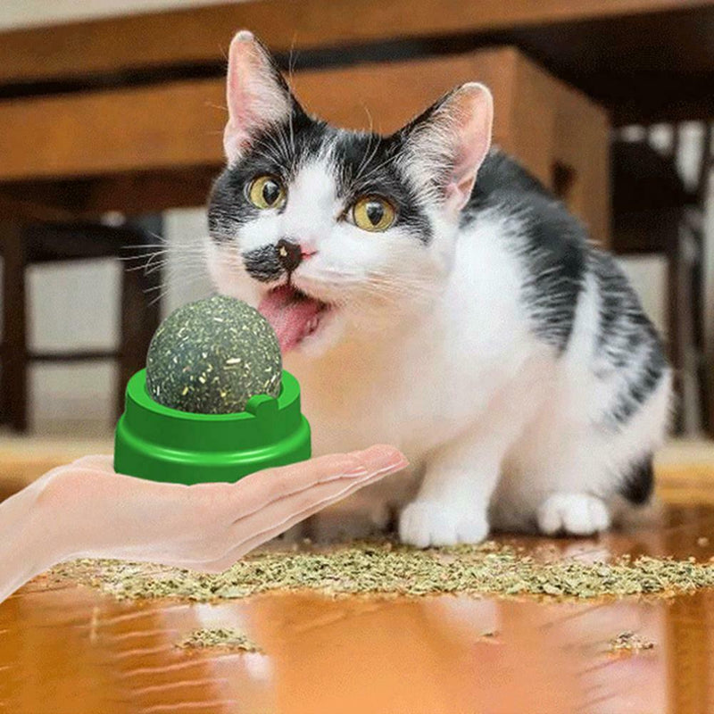 Toys Puzzle Ball 9SRO Cat Pure Leaf Ball Rotating Catnip Mint Natural For Balls