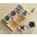5Pcs Wooden Storage Box Jewelry Box Flower Pot Succulent Planter Storage 6 Grid