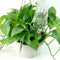 8Pcs/Lot Indoor Automatic Watering Irrigation Kits System Houseplant Spikes