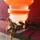 2pcs Bee Drinking Fountain Bee Queen Bee Water feeder Equipment Feeding Keep