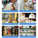 Round Styrofoam Cake Dummy (6 inch) P1A5