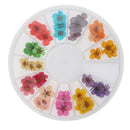 12 Colors Real Dry Nail Flower Art Decoration Manicure Nails DIY Stickers