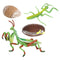 Lifelike Life Cycle of Mantis Growth Pre-school Cognitive Toys Themed Party