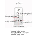 LED Remote Control Desk Lamp USB Charging with Clock Hair White Light Table