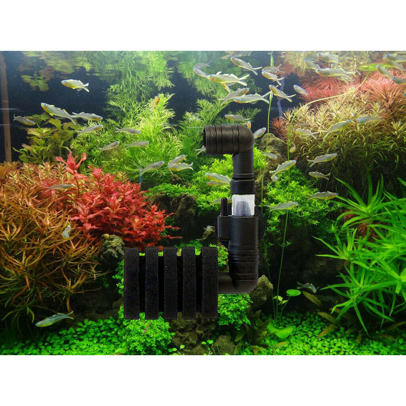 2pcs Aquarium Tank Bio Sponge Filter Suction Wall Mounted Water Filter 10-gallon