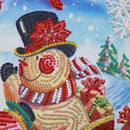 5D DIY Special Shaped Diamond Painting Santa Claus Cross Stitch Kit (DZ293)
