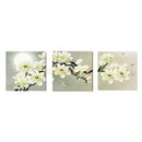 3-panel Art Oil Paintings Canvas Print Wall Pictures Home White Orchid 40cm