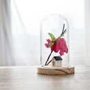 Glass Cover Micro Landscape Display Holder Terrarium Container 8cm*15cm