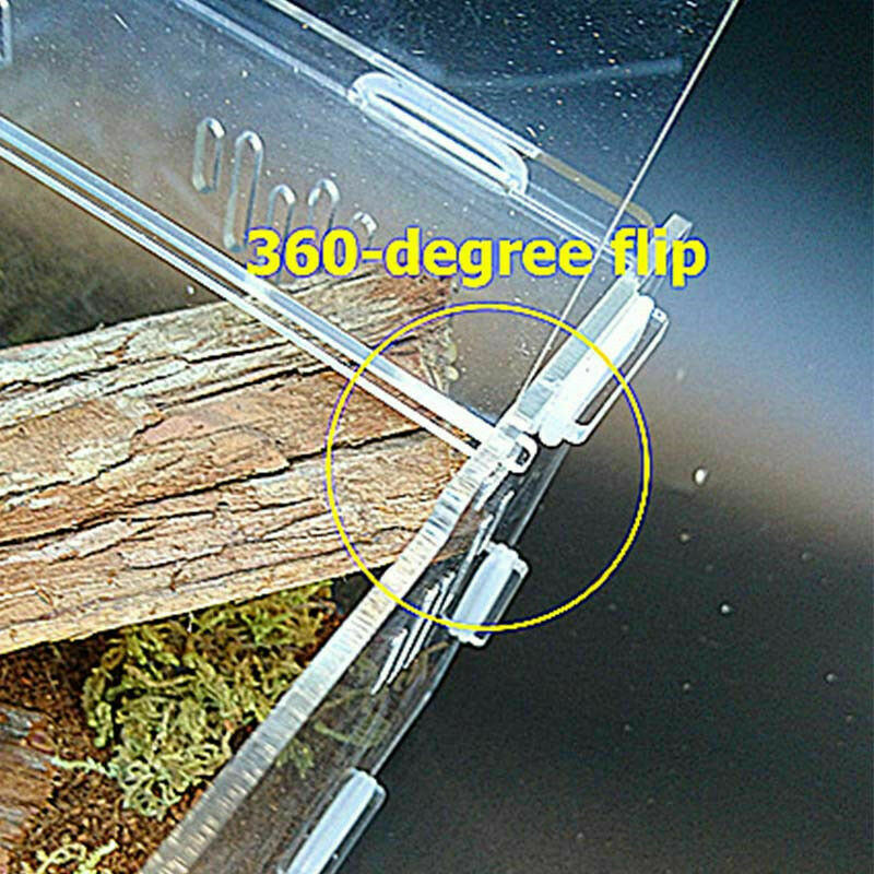 Acrylic-Reptile-Terrarium-Habitat-Ideal-Case-for-Larvae-spiders-ants-scorpi U5V9