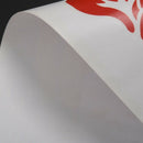 Chinese Characters with Koi Fish: Wealth and Safe Removable Wall Decals F7L1