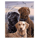 5D DIY Full Drill Diamond Painting Dog Cross Stitch Embroidery Mosaic Craft