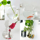 2pcs Transparent Glass Flowerpot Plant Container Wall Hanging Art Creative Decor