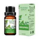 Plant Nourish Massage Essential Oil Promotes Metabolic Essential Antibacter B9F5