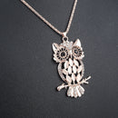 2019 Hot Women Necklace Jewelry Crystal Owl Pendant Long Chain Animal Necklace