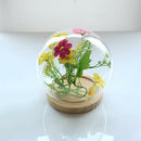 Glass Cloche | Round Transparent Topped | Bell Jar Display Dome | Wood Base