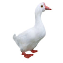 Artificial Feather Bird Stand White Goose Birds Home Garden Christmas Decor