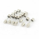 10 Pcs 250V 10Amp Slow Blow Time Delay Glass Fuses Tubes 5mm x 20mm N6E4