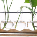 Plant Terrarium with Wooden Stand Glass Vase Holder for Home Decoration,Sci