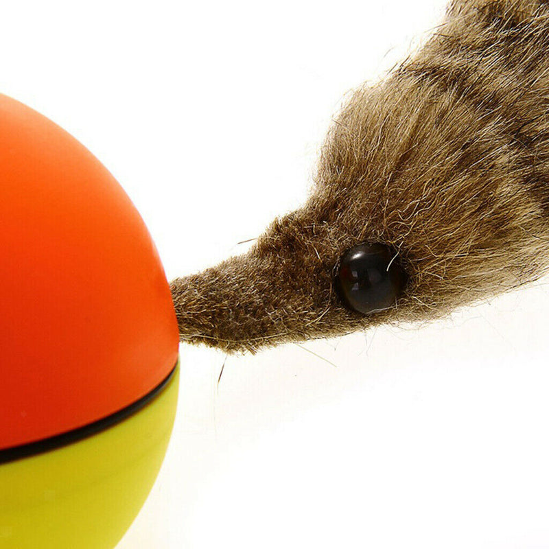 Pet Ball for Cat Dog Puppy Waterproof Rechargeable Rolling/Turn off Durable