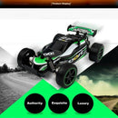 1: 20 2.4GHZ 2WD Radio Remote Control Off Road RC RTR Racing Car Truck GN
