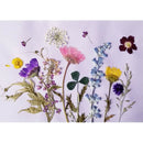 12 Packs Pieces Natural Dried Flowers, Real Press Chrysanthemum, Pressed Flowers