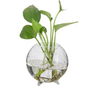 2Pcs Ball Glass Flower Vase Micro Landscape Fairy Garden Terrarium Bottle
