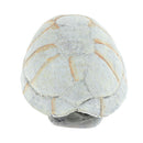 Mini Reptile Hiding Cave Landscape Ornament +Aquarium Reptile Terrarium