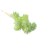 Simulation Succulents Plants DIY Edelweiss For Home Office Decor Green