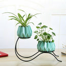 Minimalist Green Plant Hydroponic Vase Iron Holder Ceramic Scindapsus Conta