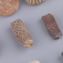 Pristine Natural Stones Reiki Rocks Ornament for Bonsai Fish Tank, Set of 12