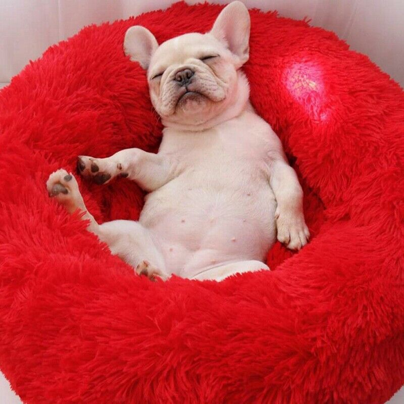 Pet Bed for Cats and Dogs,Super Soft Round Dog Bed Oval Donut Nesting Cave