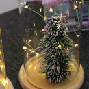 Battery Operated LED Lights Glass Cloche Table Lamp Fairy Lights Crafts B
