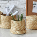 3 Pcs/Set Handmade Straw Woven Storage Basket With Lid Snack Organizer Stor I8V4