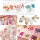 100pcs Natural Dried Flower Forget-me-not DIY Phone Case Decor Embellishment