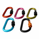 HOT 5Pcs Aluminum Carabiner D-Ring Clip Hook Camping Keychain Screw Locking  `US