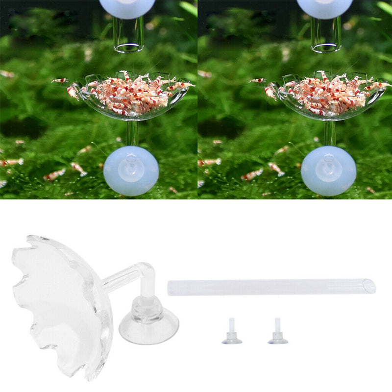 2x Shrimp Feeding Dish Bowl Acrylic Flower Design Aquarium Tray Water Food
