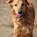 Light Up Dog Balls Flashing Elastic Ball Glow in the Dark Interactive Pet T F9A5