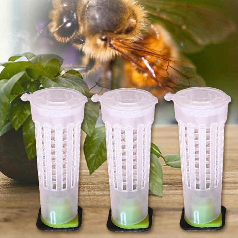 Beekeeping Rearing Cup Kit Plastic Essential 30PCS Queen Bee Roller Beekeeper