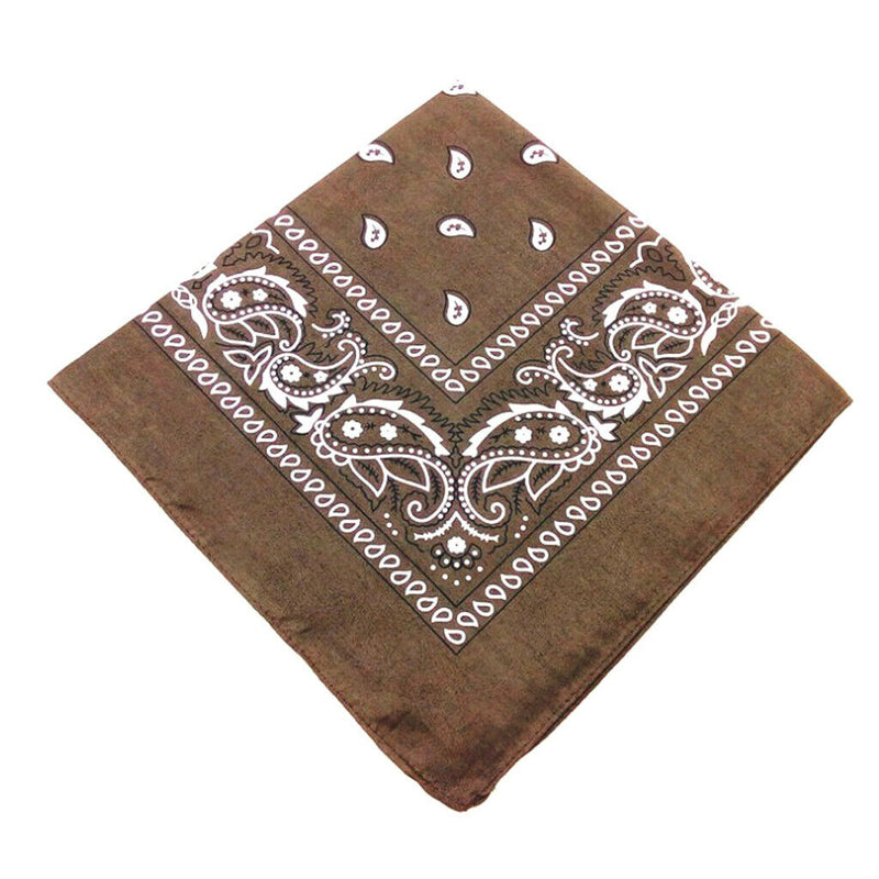 6 Pieces Unisex Cotton Paisley Bandana Cowboy Head Scarf Headband Head Wrap
