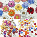 50X Lot Wooden Buttons Sewing 2-holes Scrapbooking Button Crafts Flower Shape