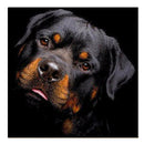Full Black Dog DIY Diamond Painting Embroidery Cross Stitch Kit Home Decor