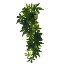 2x Bendable Reptiles Green Jungle Climber Vines Terrarium Habitat Ornament