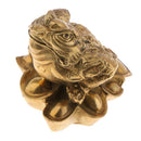 3 Legged Feng Shui Fortune Wealth Chinese Toad Coin Ornaments Lucky Gifts S